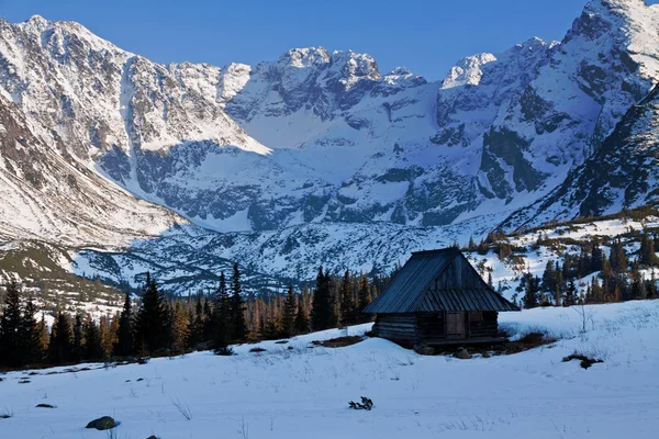 Besneeuwde bergwereld met houten huis — Stockfoto