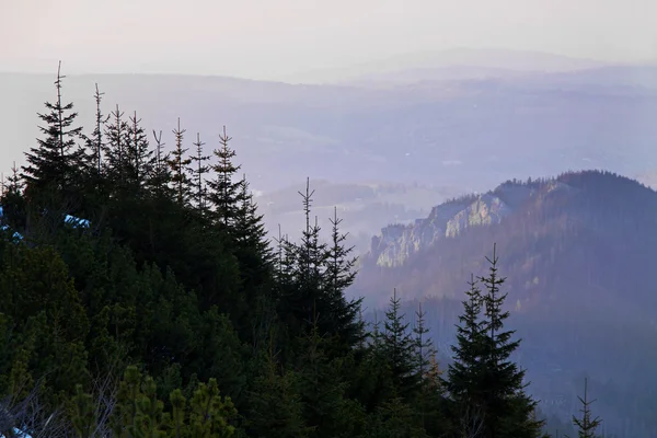 Paesaggio montano con foresta arborea — Foto Stock