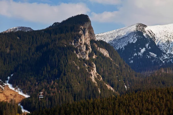 Dağ manzarası ile ağaç orman — Stok fotoğraf