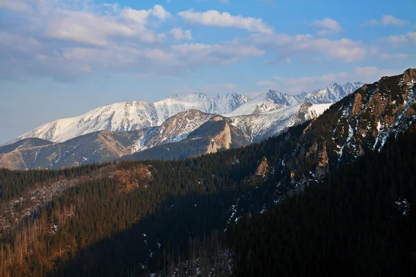 Dağ manzarası ile ağaç orman — Stok fotoğraf