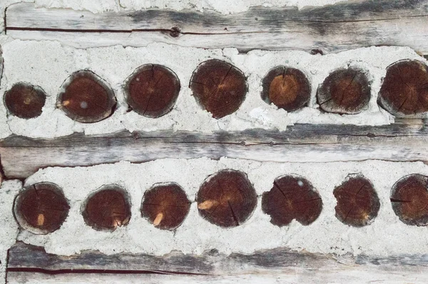 Cette Ancienne Cabane Rondins Pain Épice Dans Les Bois Est — Photo