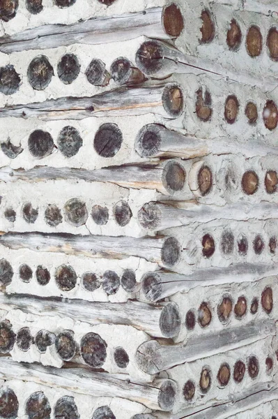 Cette Ancienne Cabane Rondins Pain Épice Dans Les Bois Est — Photo