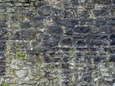 Old exterior wall with subtle mineral staining.