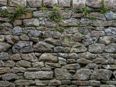 Tarihsel taşra duvarcılığı doğa tarafından geri alındı..