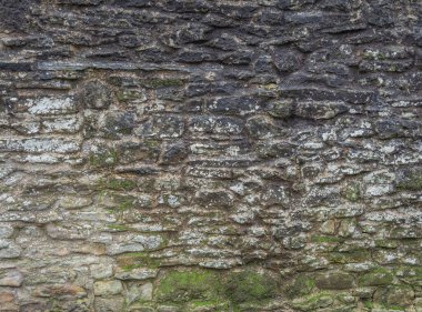 Tarihsel taşra duvarcılığı doğa tarafından geri alındı..