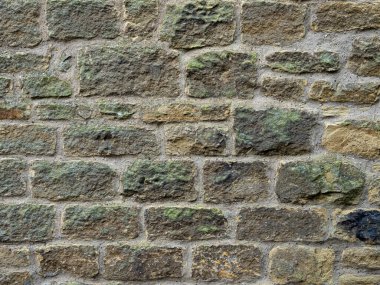 Geleneksel Taş Duvar Doğal Yeşil Yaşlanmayı Gösteriyor