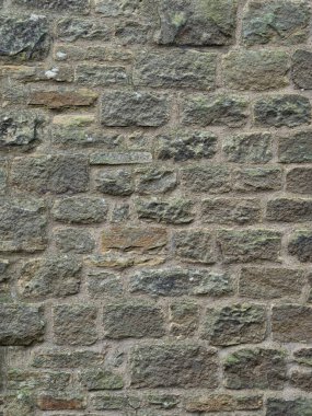 Tarihsel taşra duvarcılığı doğa tarafından geri alındı..