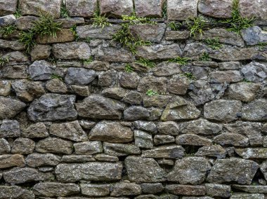 Tarihsel taşra duvarcılığı doğa tarafından geri alındı..