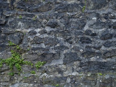 Sıkıntılı Tarihi Kuru Taş Duvarlar Yeşillik Dokusuyla Masonluk