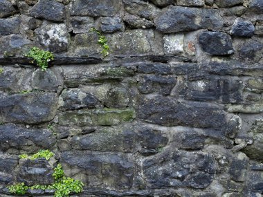 Sıkıntılı Tarihi Kuru Taş Duvarlar Yeşillik Dokusuyla Masonluk