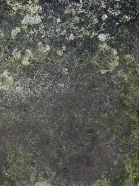 Kapalı desenli taş görüntüsü soluk liken büyümesiyle yumuşadı, organik arka plan olarak ideal..