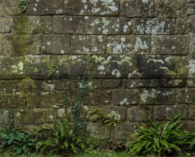 Tarihi kireçtaşı duvar dokusu eski taş duvar yüzeyini gösteriyor