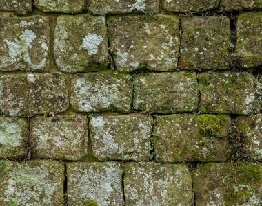 Antik kireçtaşı blok duvar dokusu doğal taş kalıplı.