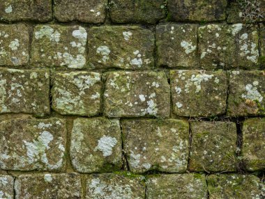 Antik kireçtaşı blok duvar dokusu doğal taş kalıplı.