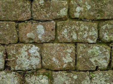 Antik kireçtaşı blok duvar dokusu doğal taş kalıplı.
