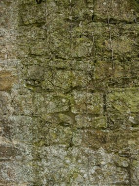 Antik kireçtaşı blok duvar dokusu doğal taş kalıplı.