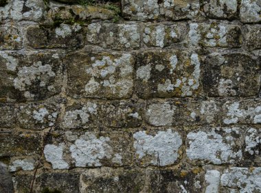 Antik kireçtaşı blok duvar dokusu doğal taş kalıplı.