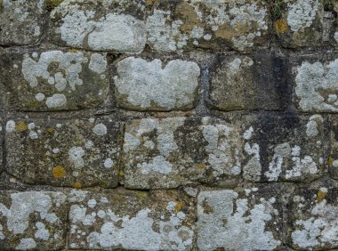 Antik kireçtaşı blok duvar dokusu doğal taş kalıplı.