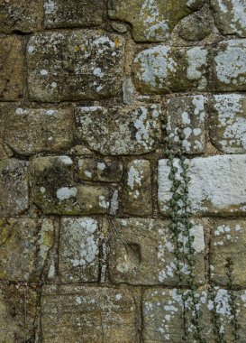 Antik kireçtaşı blok duvar dokusu doğal taş kalıplı.