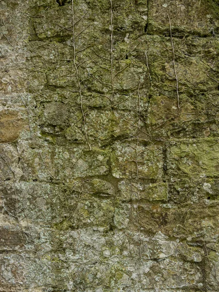 Antik kireçtaşı blok duvar dokusu doğal taş kalıplı.