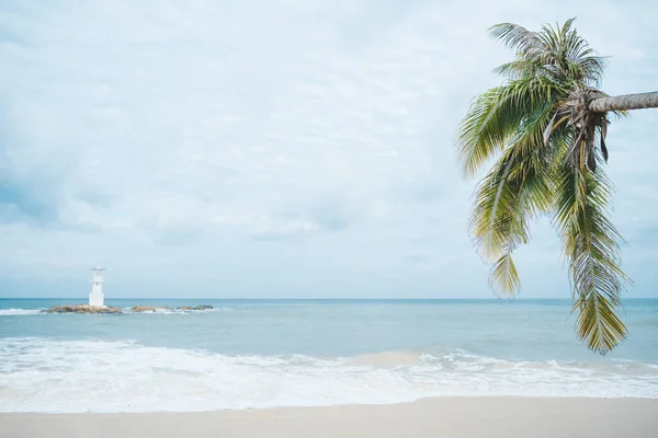 Summer landscape on the beach. Palm tree and blue sea and clear sand beach in cloudy day