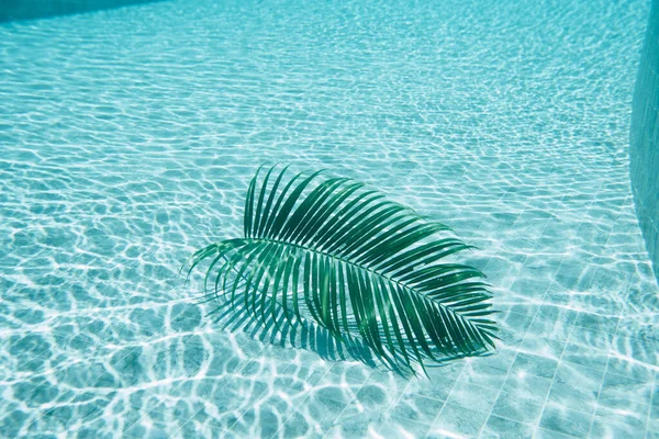 棕榈叶漂浮在游泳池底部的棕榈叶 — 图库照片