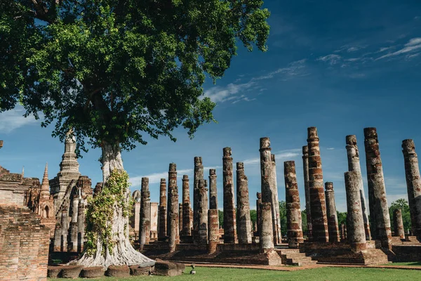 Rovine Storiche Del Tempio Sukhotai Thailandia — Foto Stock