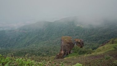 Doi Inthanon Ulusal Parkı 'nda Doi Mae Pan Doğa Yolu, Chiangmai