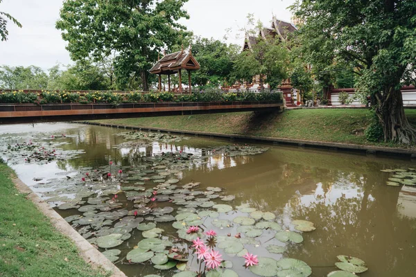 Vista Canal Com Fontes Árvores Grandes Ruas Nas Margens Chiang — Fotografia de Stock