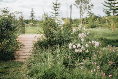 Arkaplanda tahta köprü ve beyaz çadırlı yaz manzarası