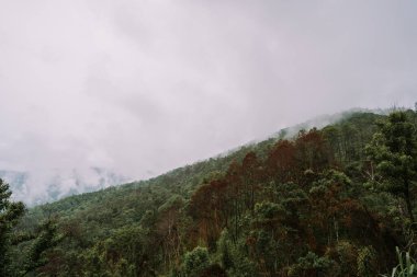 Chiang Mai, Tayland 'daki dağlarda bulutlar