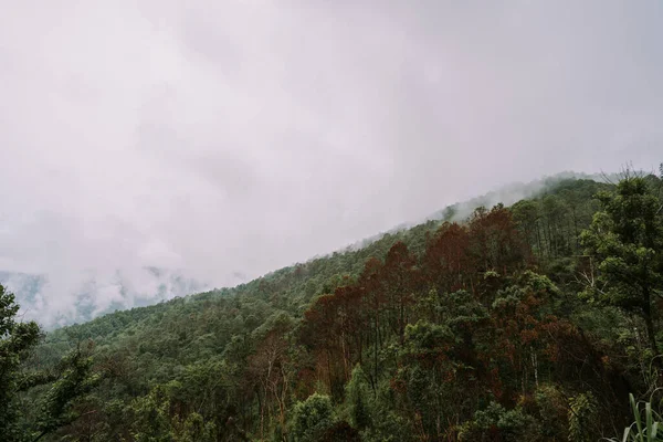 Felhők Hegyekben Chiang Mai Thaiföld — Stock Fotó