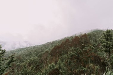 Chiang Mai, Tayland 'daki dağlarda bulutlar