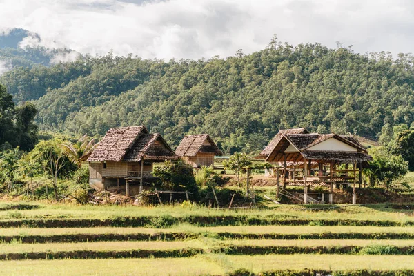 Ponte Bambu Sobre Arrozais Boon Soo Pai Tailândia — Fotografia de Stock