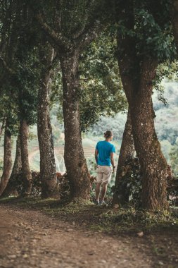Doi Mae Salong, Chiang Rai, Tayland 'daki Tea Plantasyonu' nda ağaçların arasında yürüyen bir adam var.