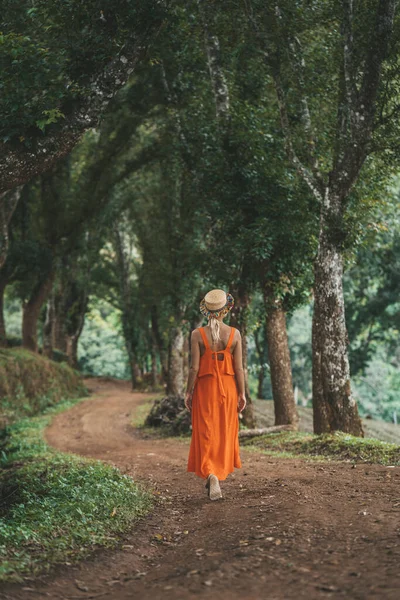 Mulher Vestido Laranja Está Andando Por Beco Árvores Plantação Chá — Fotografia de Stock