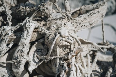 Beyaz Tapınak olarak bilinen Wat Rong Khun 'un yakın çekim detayları. Chiang Rai, Tayland