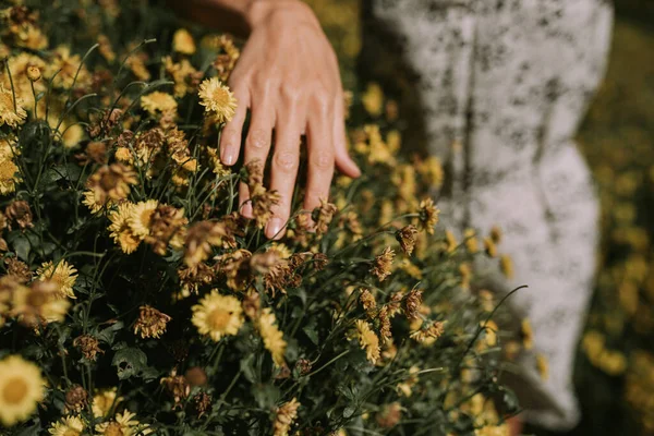 Kobieta Dotykając Małe Żółte Kwiaty — Zdjęcie stockowe