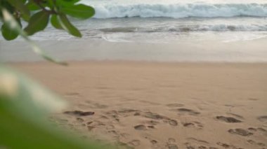 Gün batımında kumsal manzarası. Denizde dalgalar. Deniz feneri