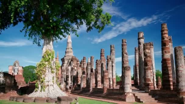 Ancienne Statue Bouddha Lever Soleil Dans Parc National Sukhotai Thaïlande — Video