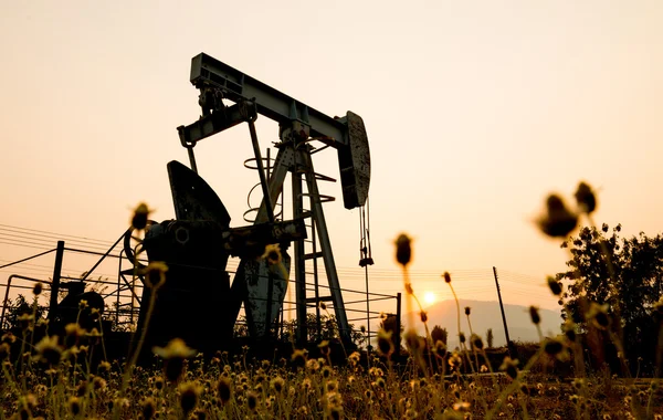 Calabaza en un sitio de perforación de petróleo — Foto de Stock