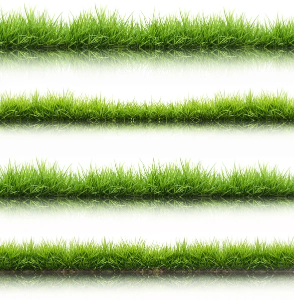 Fresh spring green grass isolated with water reflection — Stock Photo, Image