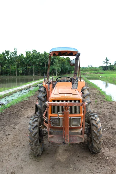 Bir pirinç alanındaki traktör — Stok fotoğraf
