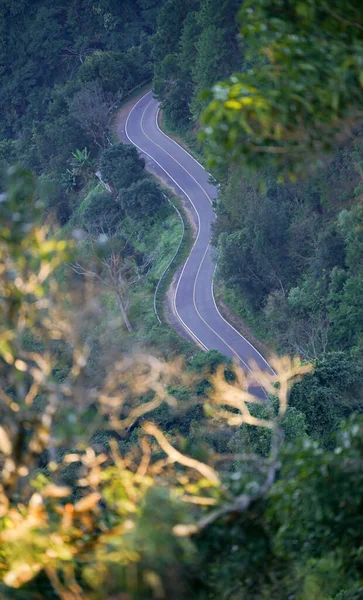 Curva Estrada Floresta — Fotografia de Stock