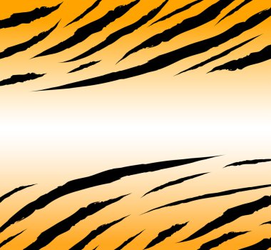 tigerskinbackground