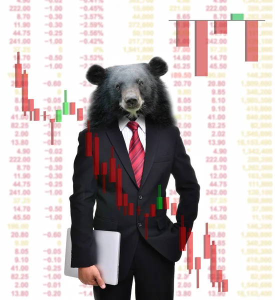 Urso mercado, conceito de investimento de ações — Fotografia de Stock