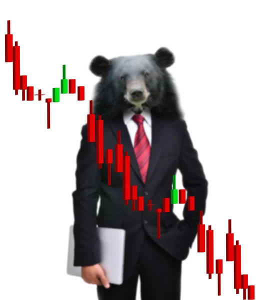 Bear market, stock investment concept — Stock Photo, Image