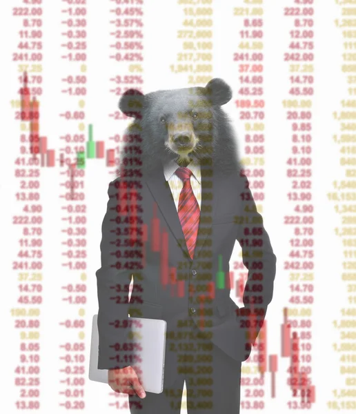 Bear market, stock investment concept — Stock Photo, Image