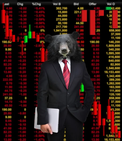 Bear market, stock investment concept — Stock Photo, Image