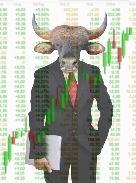 Bull market, stock investment concept — Stock Photo, Image